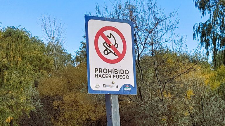 La isla Jordán en peligro por una mala costumbre de hacer fuego en árboles