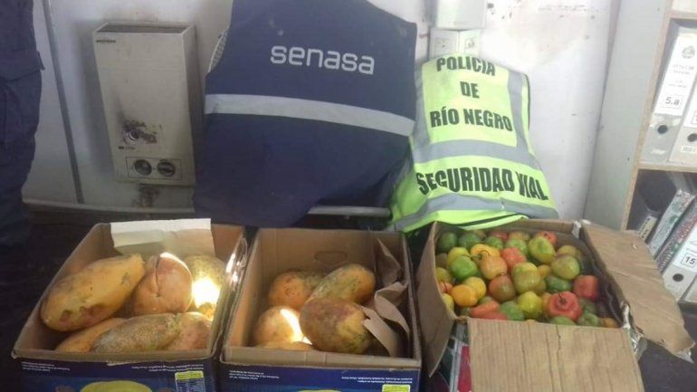 Secuestraron 80 kilos de frutas exóticas que venían a Cipolletti