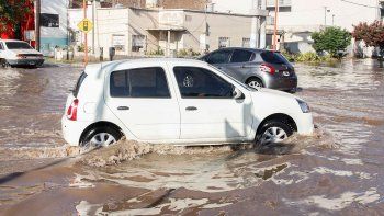 la lluvia inundo calles y casas y derribo arboles