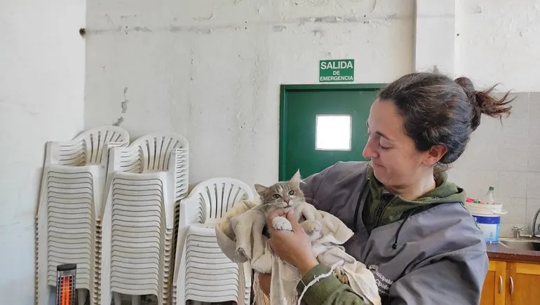 La comuna habilitará de nuevo el servicio de esterilización de mascotas en Las Perlas, gracias al retorno de la profesional que realizaba las tareas, con la colaboración de una ayudante.
