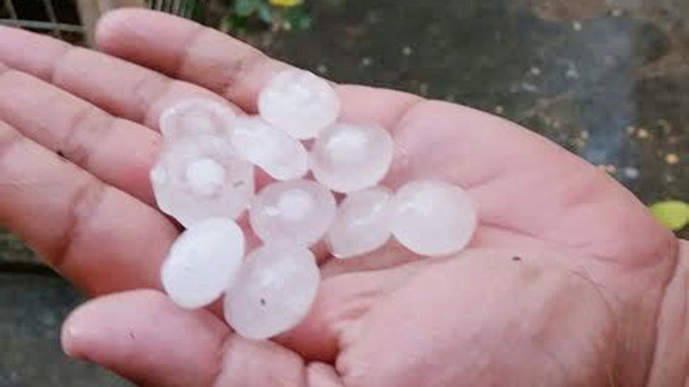El granizo dañó un 10% de la producción de frutas