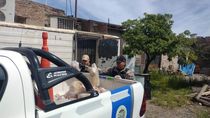 secuestran mas de una tonelada de alimentos en mal estado