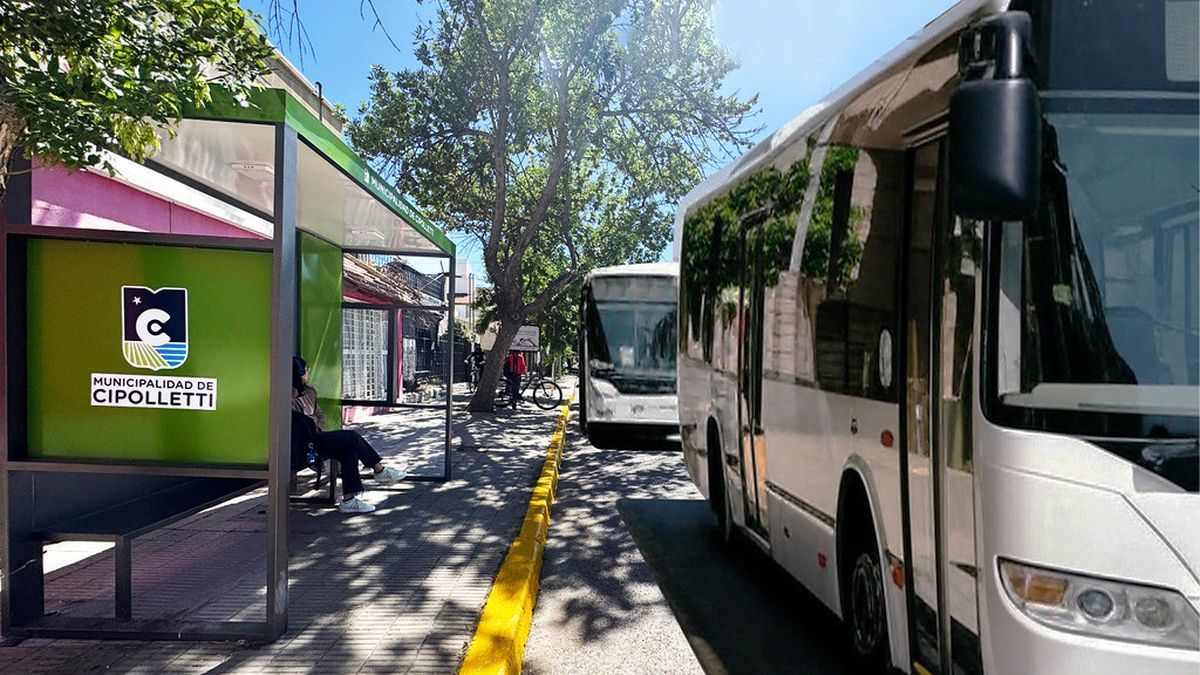 Se planifica que el nuevo servicio de colectivos empiece a operar en los primeros meses de 2026.&nbsp;