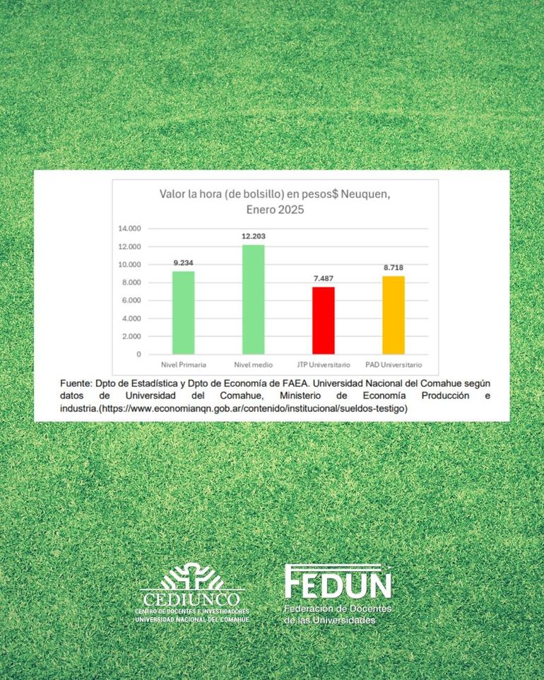 El gremio Cediunco dio a conocer un informe sobre el difícil momento que están atravesando los docentes universitarios en la actualidad. Se reveló que están por debajo de lo que cobran los docentes de primaria y secundaria en Neuquén. Y sin perspectivas de mejoras.