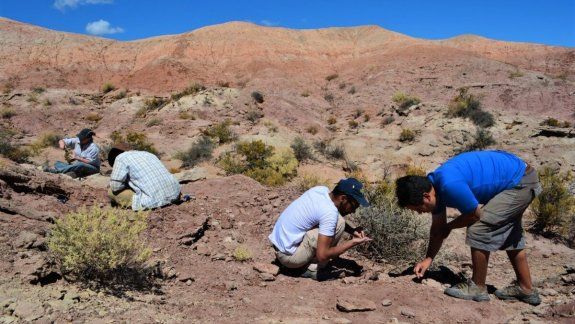 Presentan un dinosaurio rionegrino que tenía alas