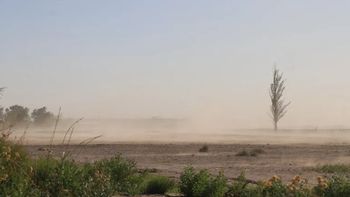 Alerta amarilla por un temporal de fuertes vientos que afectará a algunas provincias este lunes 29 de septiembre. 