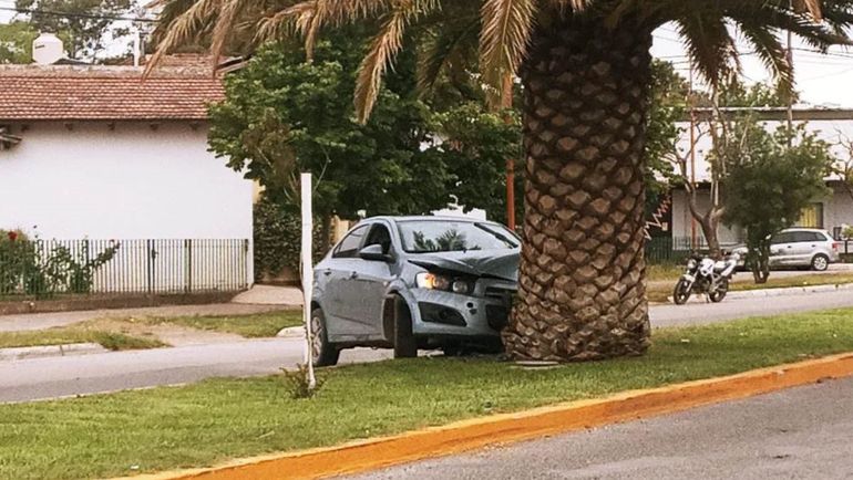El auto se estrelló contra la enorme palmera y su frente quedó muy deteriorado. El auto se estrelló contra la enorme palmera y su frente quedó muy deteriorado.