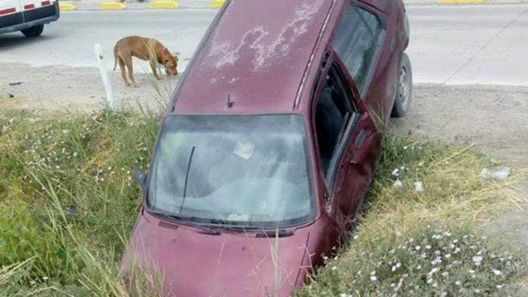 En el Distrito reclaman lomos de burro para evitar las picadas