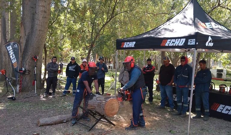 Que bajón: hacía el reparto y la rama de un árbol cayó sobre su camión
