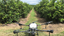 Las nuevas tecnologías están llegando a las explotaciones frutícolas.