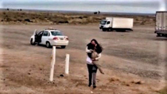 El perro que viajó 450 km en taxi para encontrarse con su dueña