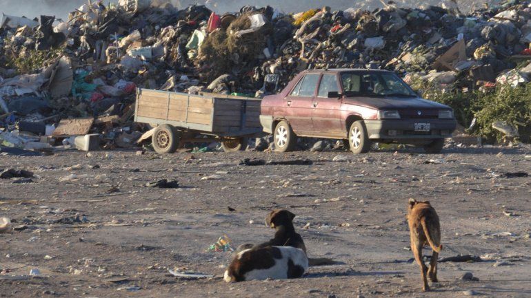 El Municipio debe construir una planta separadora de residuos para poder después llevar los desechos hacia Neuquén. Necesita financiamiento.
