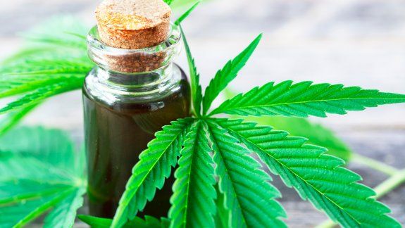 Autorizan el cultivo de cannabis medicinal y su venta en farmacias