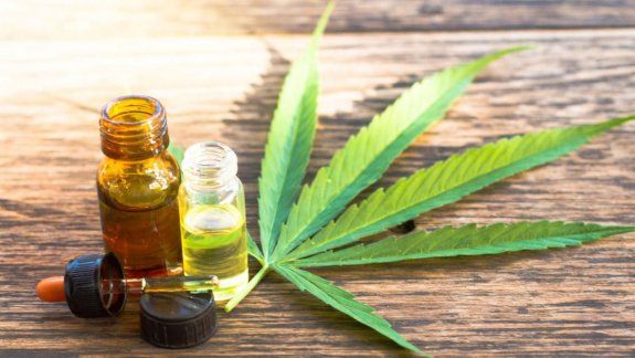 El proyecto para crear un registro de usuarios de cannabis avanza en el Concejo Deliberante de Comodoro Rivadavia.&nbsp;