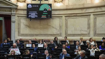 el senado revirtio los vetos de javier milei: como votaron los legisladores de rio negro y neuquen