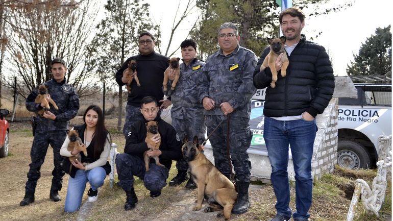Los seis cachorros donados por el veterinario Sergio Gómez y la mamá Chipi. El intendente Buteler participó en el acto de entrega. 