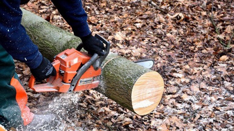Se accidentó cortando madera con una motosierra y cobrará más de $700 mil