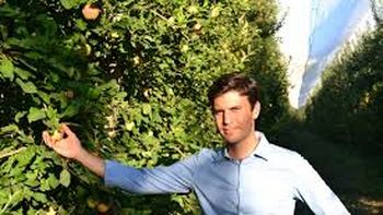 moderado optimismo por las mermas de manzana en europa