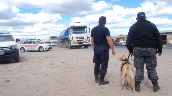 Los perros cumplen un rol fundamental en los operativos.