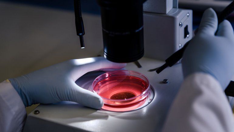 Avances científicos y una esperanza en el pronóstico de la leucemia más frecuente
