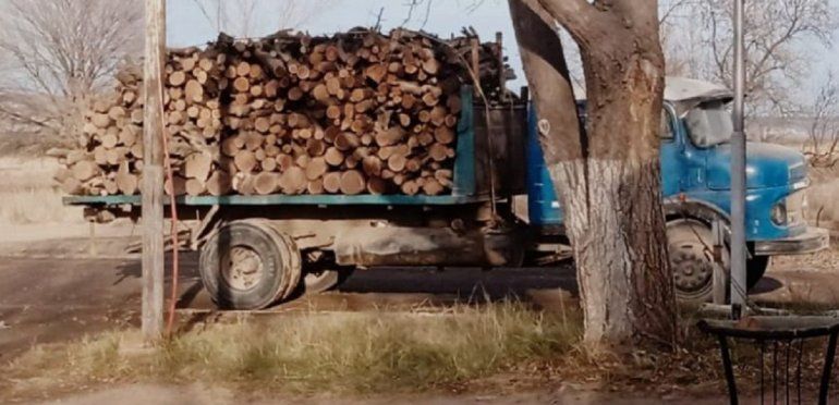 Decomisaron 5000 kilos de leña y armas de fuego.&nbsp;