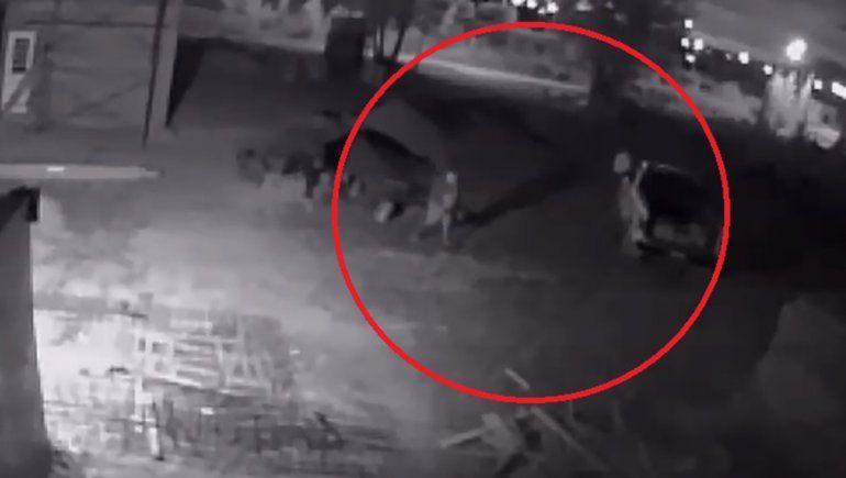 Le robaron las bolsas de cemento para la construcción de su casa