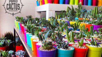 un vivero busca el premio al mejor emprendimiento un vivero busca el premio al mejor emprendimiento