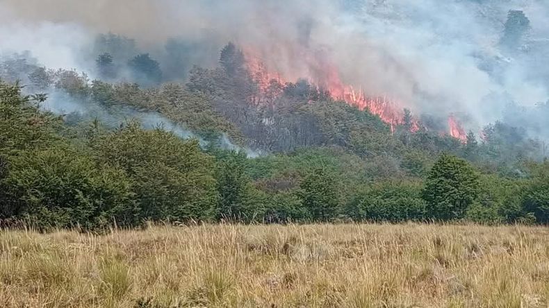 Productores de Neuquén reclaman urgente ayuda para controlar los incendios