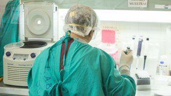 reducen al minimo la actividad en bariloche, luis beltran y lamarque