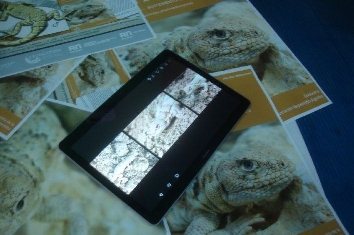 Fue presentada en el Museo Provincial Patagónico de Ciencias Naturales de General Roca