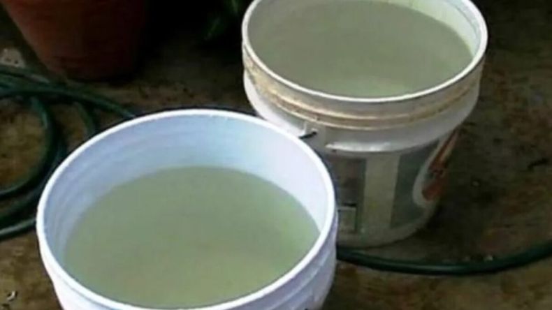 La madre del bebé fue quien lo encontró con la cabeza sumergida dentro de un tacho de 20 litros.