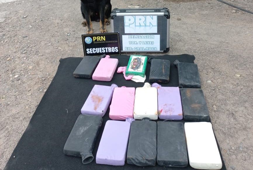 Condenaron a banda narco que traficaba cocaína
