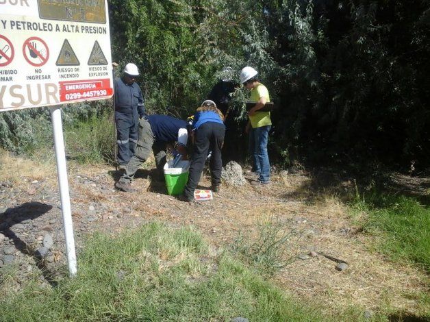 Secretaría de Ambiente participó en muestro por incidente en Allen