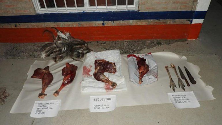 Los choiques faenados fueron decomisados e incinerados.