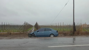 Dos vehículos colisionaron en ruta 22 a la altura de YPF Agro en General Roca. (Foto: gentileza AN Roca) Dos vehículos colisionaron en ruta 22 a la altura de YPF Agro en General Roca. (Foto: gentileza AN Roca)