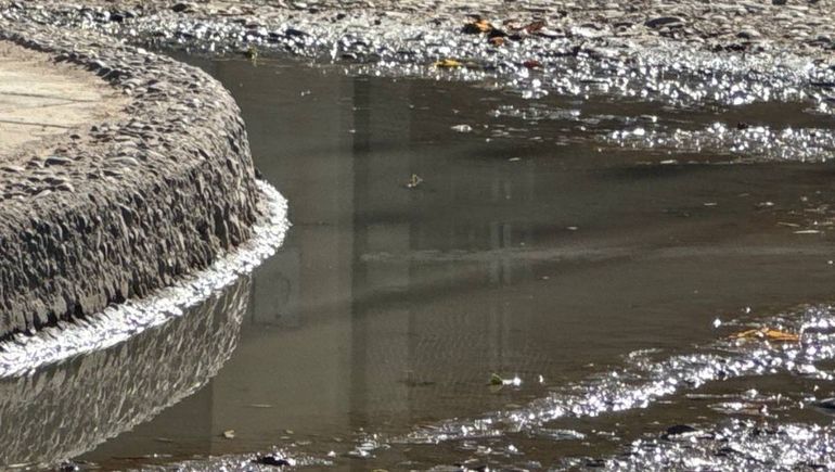 Multas millonarias a quienes arrojan agua sucia a la calle