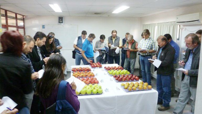 Las nuevas variedades fueron presentadas en el INTA Alto Valle.