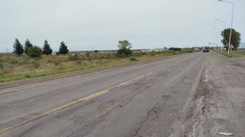 El incidente vial ocurrió cerca de Catriel, en la Ruta 151. Dos ladrones aprovecharon y fueron a robar el auto que había chocado un caballo. 