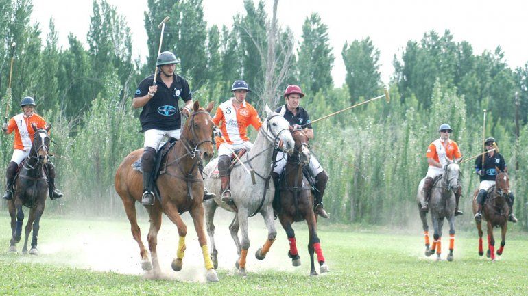 Un domingo diferente con la Expo Caballos del Valle
