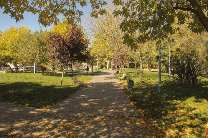 El otoño llegó a Cipolletti y coloreó la ciudad de amarillo