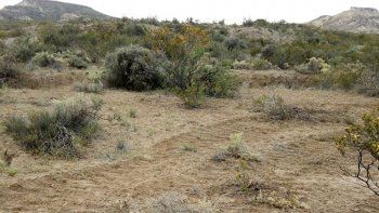 expectativas por dar al cerro azul proteccion del estado