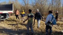 consiguieron lena a traves del desmonte de una chacra