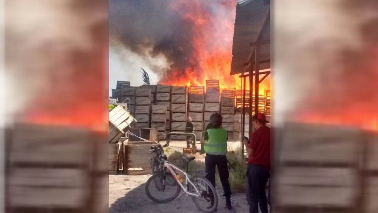 Un incendio consumió bins en un galpón de Fernández Oro