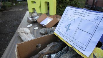recuperaron 90 cajas con fosiles del ex museo del lago gutierrez