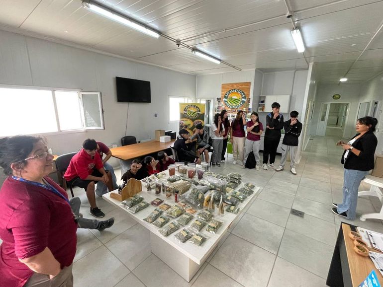 Los chicos, junto al staff de Aromáticas Alto Valle, oyendo atentos las explicaciones.