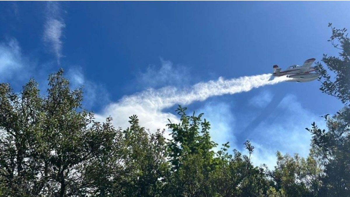 Los incendios forestal una vez más son noticias en la zona Andina.