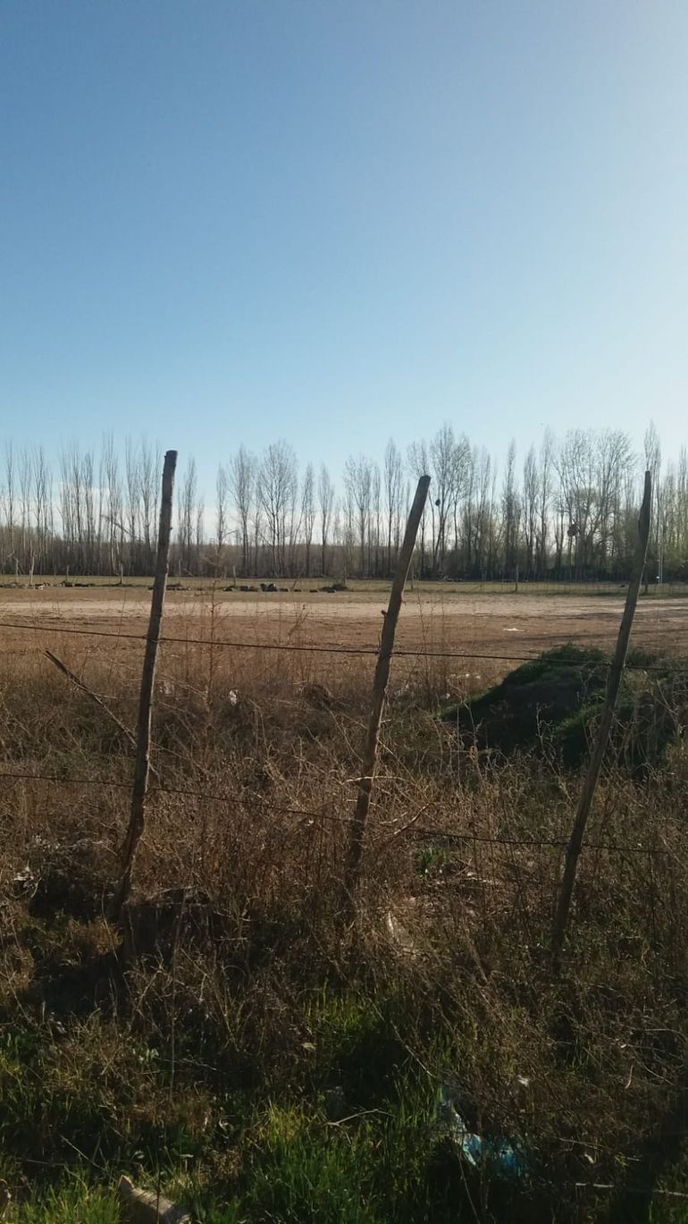 Los lotes de la pol&eacute;mica est&aacute;n ubicados al norte de la ciudad.