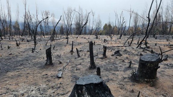 Tras aplacar el incendio