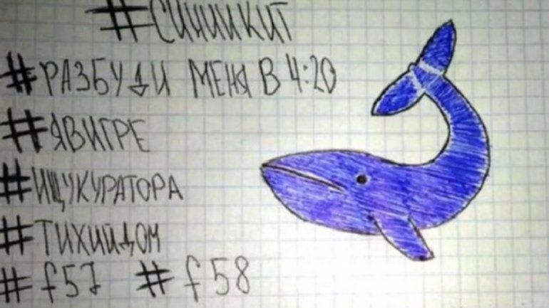 Llegó a la ciudad el macabro juego de la ballena azul