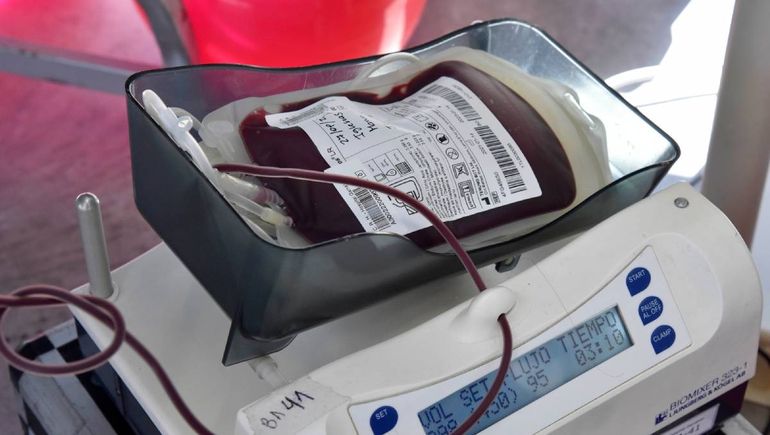 Salud: transfusiones de sangre, religión y un vacío normativo